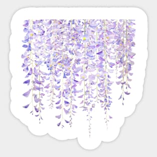 wisteria in bloom 2021 watercolor Sticker